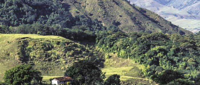 Un campo para la paz