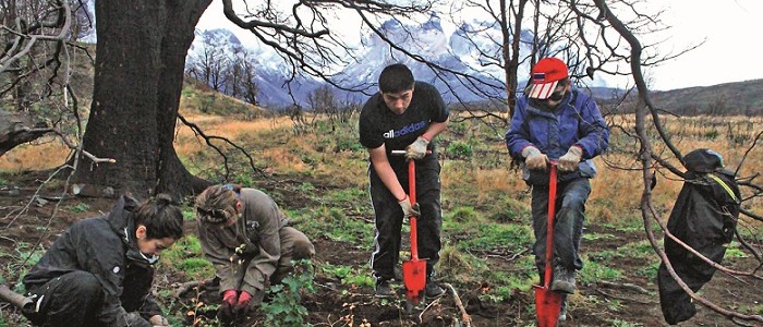 Premian proyecto  “20 mil lengas para el Paine”