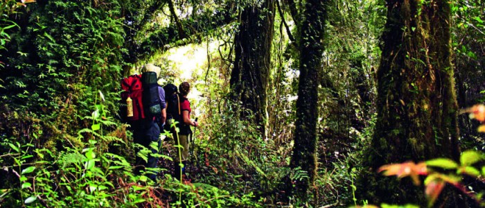 Piñera viaja a Tantauco a celebrar los 10 años del parque