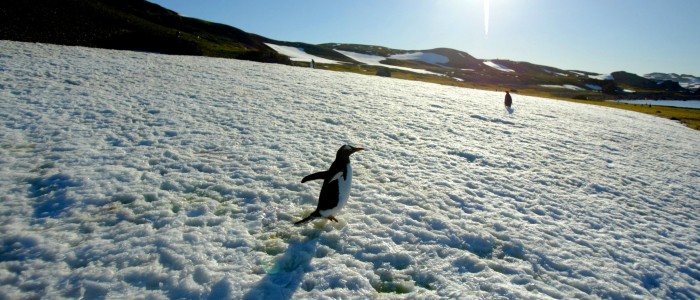 Chile medirá daño en la Capa de Ozono en la Antártica