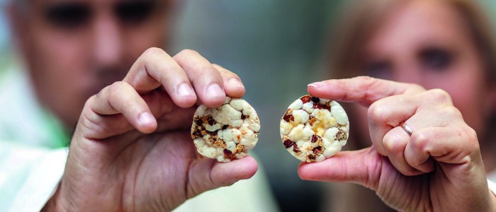 Ingenieros UC desarrollan cereales con aire y lentejas para reducir obesidad