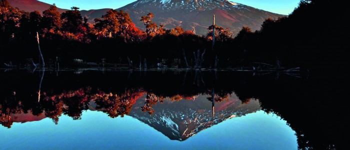 Sale a la venta concesión del Parque Nacional Conguillío