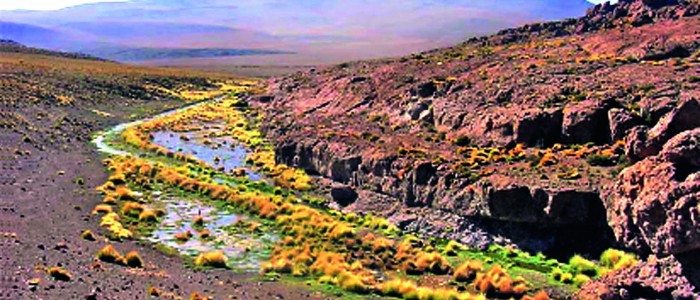 Chile comienza a armar su defensa ante eventual demanda por el río Silala